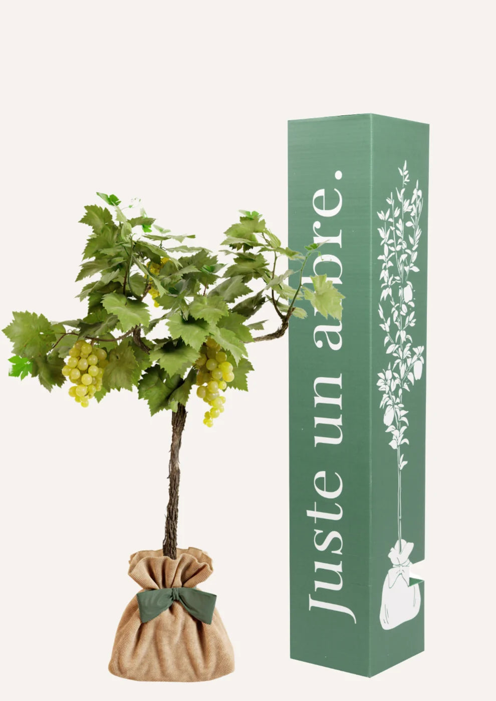 Fiche entretien Vigne "Chasselas Doré"