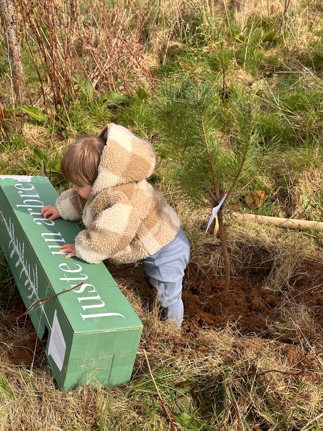 Jeunes parents plantant un arbre au nom de leur enfant dans un jardin, symbole de souvenir vivant, de croissance partagée et de lien durable avec la nature.        