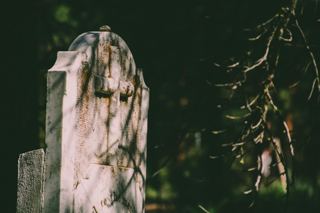 Offrir un Arbre en Mémoire d’un Être Cher : Un Cadeau Symbolique et Durable
