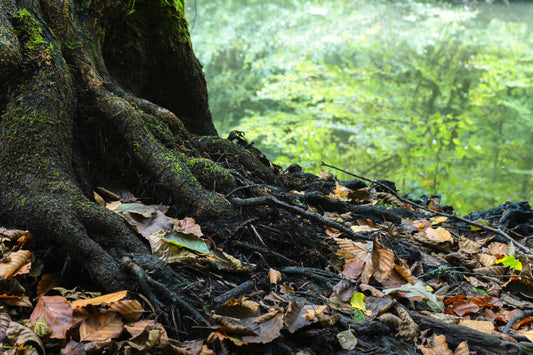 idées-cadeaux-arbre-de-vie