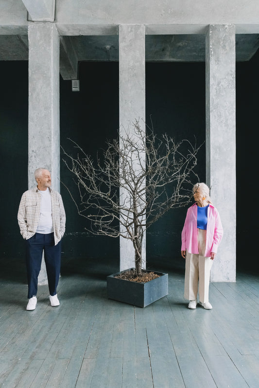 départ-retraite-arbre-de-vie